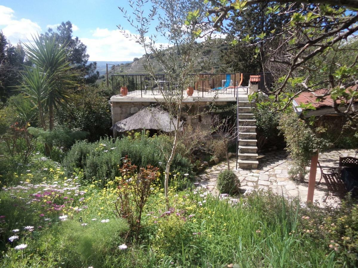 Oleander Stone House Villa Lemona Eksteriør bilde